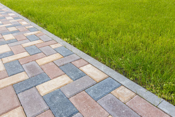 Best Driveway Pavers Contractor  in Oquawka, IL